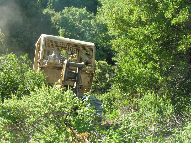 DSCN4878.jpg