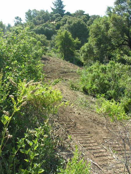 DSCN4880.jpg