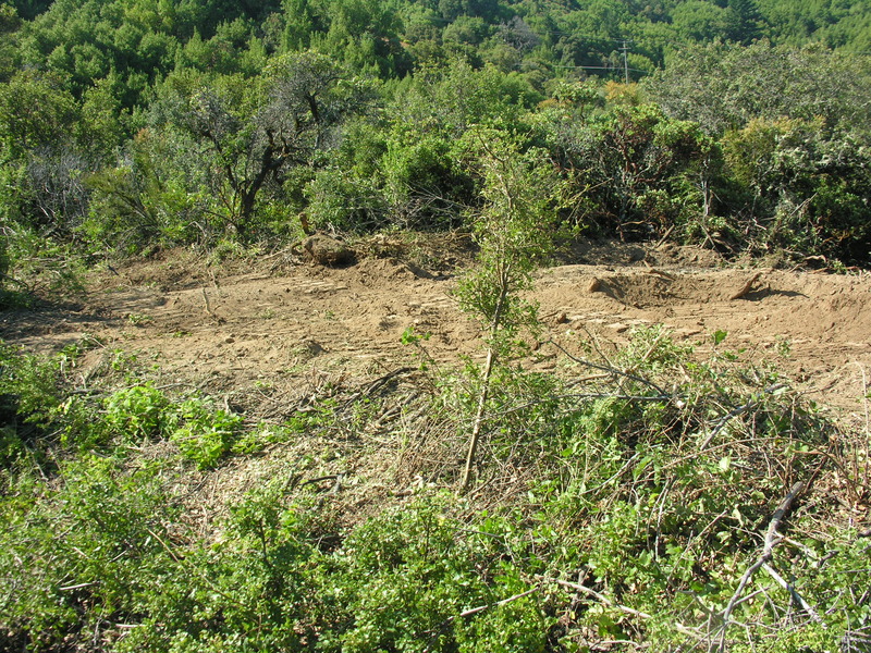DSCN4882.jpg