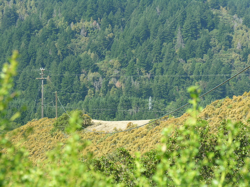 DSCN4884.jpg