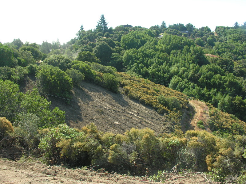 DSCN4885.jpg