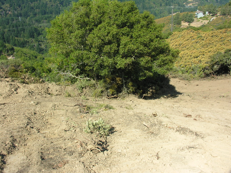 DSCN4887.jpg