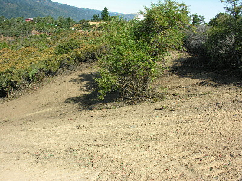 DSCN4888.jpg