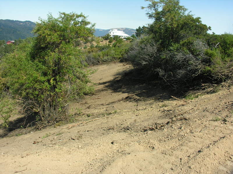 DSCN4889.jpg