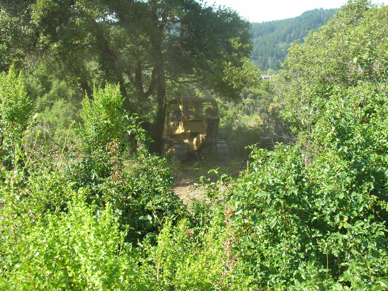 DSCN4893.jpg