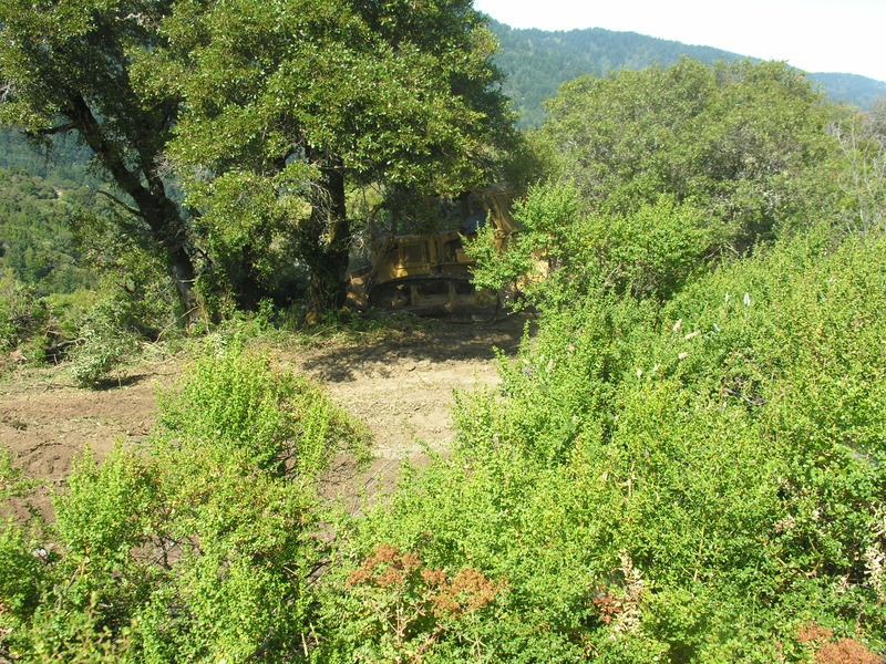 DSCN4895.jpg
