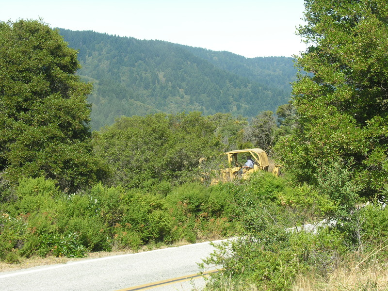 DSCN4899.jpg