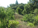 DSCN4879.jpg