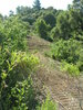 DSCN4880.jpg