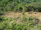 DSCN4882.jpg