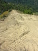 DSCN4886.jpg