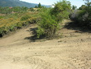DSCN4888.jpg