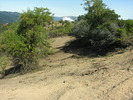 DSCN4889.jpg