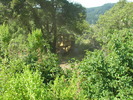 DSCN4893.jpg