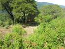 DSCN4895.jpg