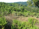 DSCN4896.jpg