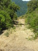 DSCN4898.jpg