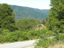 DSCN4899.jpg