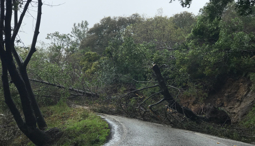 mudslide photo
